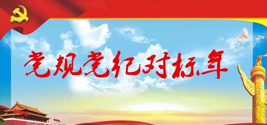 最新党规党纪引领新时代党的建设行动指南